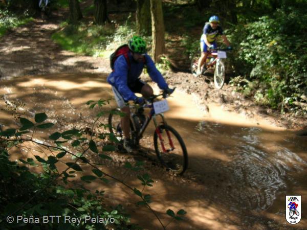20040925132747-fot219.jpg