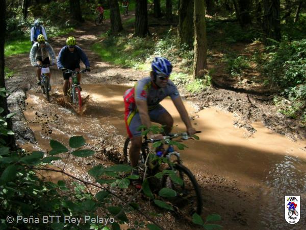20040925133000-fot235.jpg