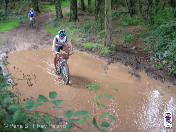 20040925133021-fot236.jpg