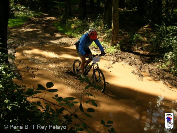 20040925133239-fot237.jpg