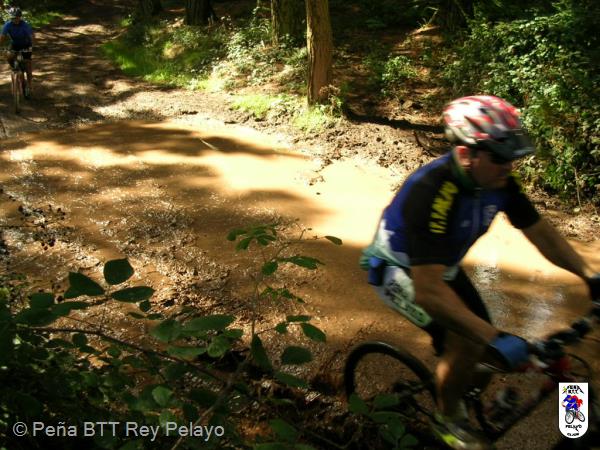 20040925133314-fot241.jpg