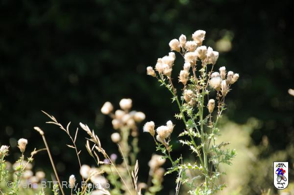 20100821133729.JPG