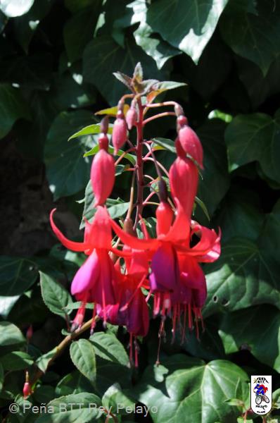 20100821135541.JPG