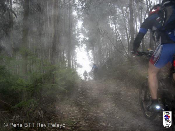 20070421085354-Brianso.jpg