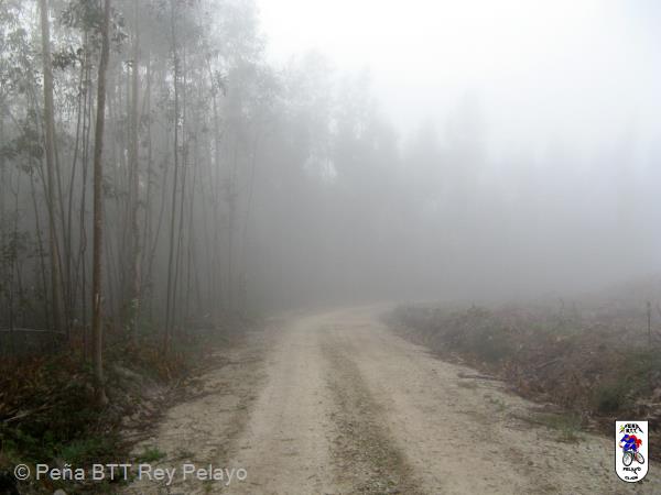 20070421090431-Juanjo_019.JPG