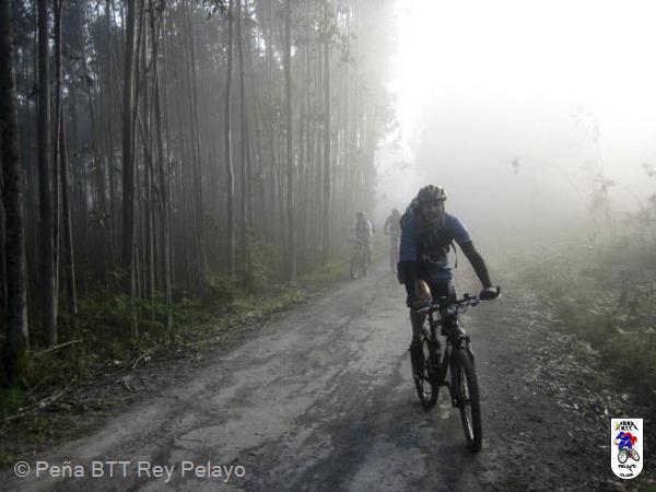 20070421090543-Brianso.jpg
