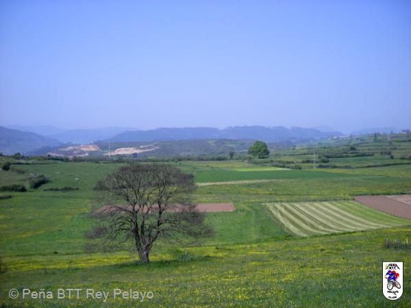 20070421151339-Cristian.jpg