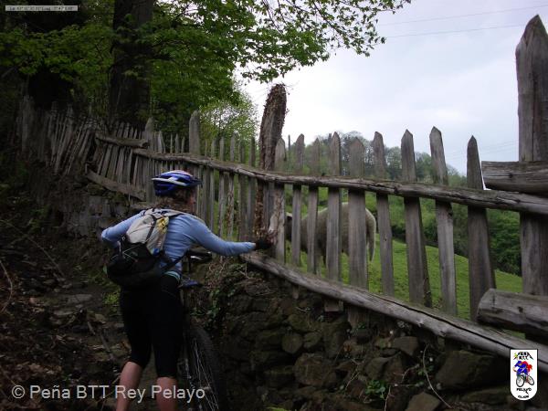 20070505103813-byRuben007.jpg