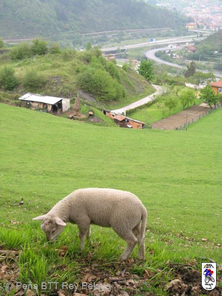 20070505103951-Juanjo_031.JPG