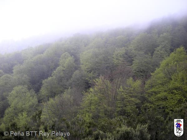 20070505124128-Cristian.jpg