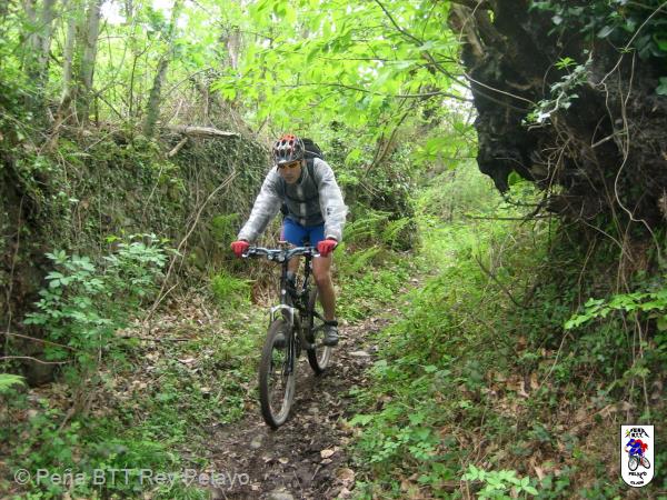 20070505152405-Brianso_85.JPG
