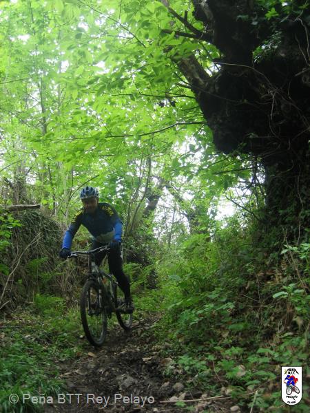 20070505152535-Brianso_88.JPG