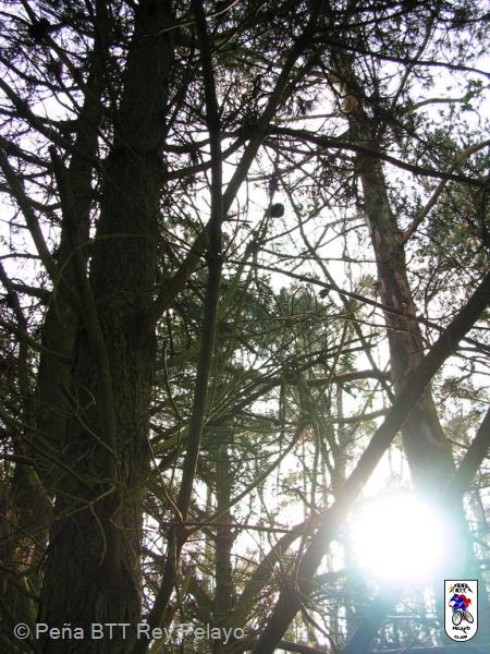 20041127135844-DSCN3336.JPG
