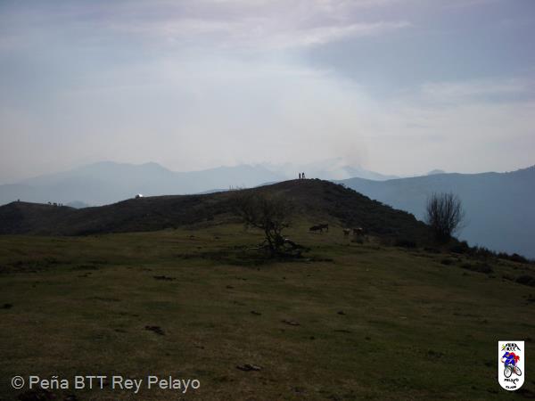 20050319114213-Ruben27.jpg