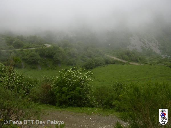 20040612125944-fot5.jpg