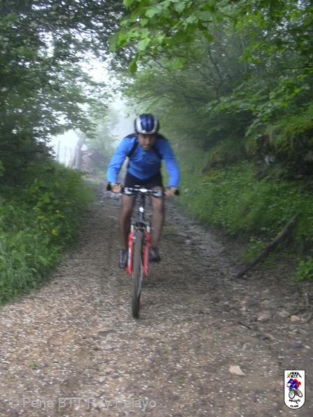 20040612171706-fot25.JPG