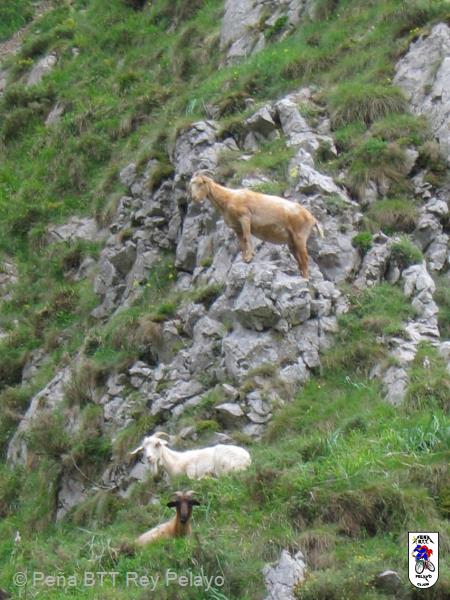 20050528123828-Pablete- 004_redimensionar.jpg