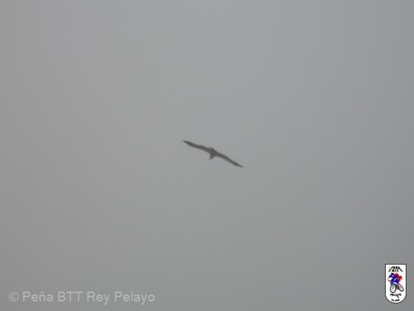 20050528142423-P1000329_redimensionar.JPG