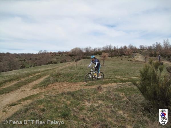 20150329124625.JPG