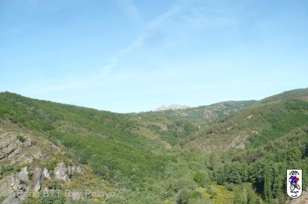 20081020162040.jpg