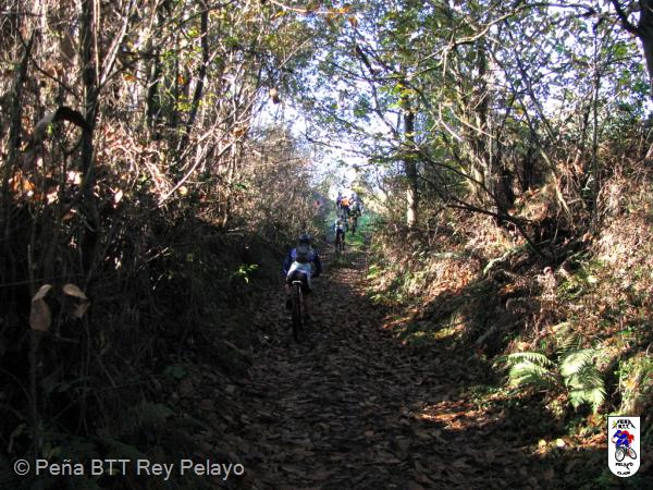 20111126131654.jpg