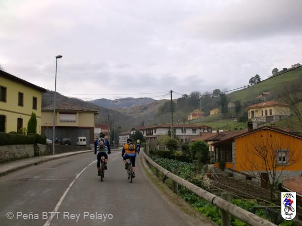 20101119105010.JPG