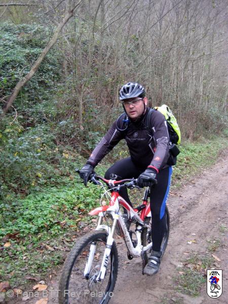 20111119112652.JPG