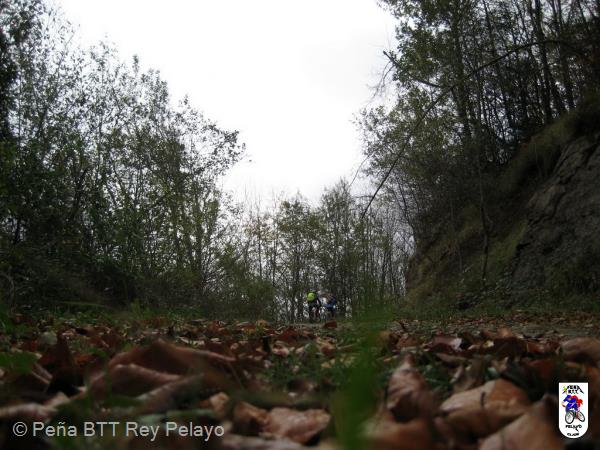 20111119112909.JPG