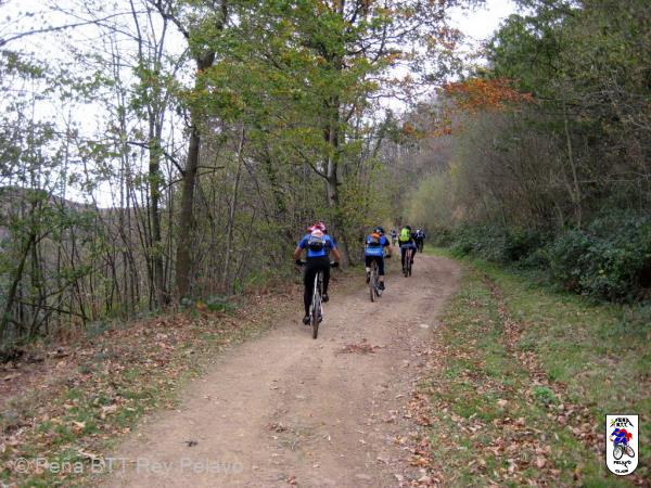 20111119113124.JPG