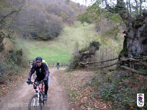 20111119114744.JPG
