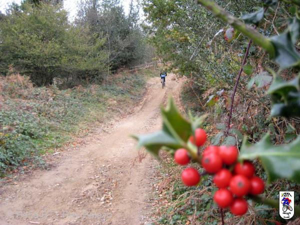 20111119115620.JPG