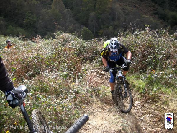 20111119133851.JPG