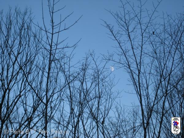 20170107165724.jpg