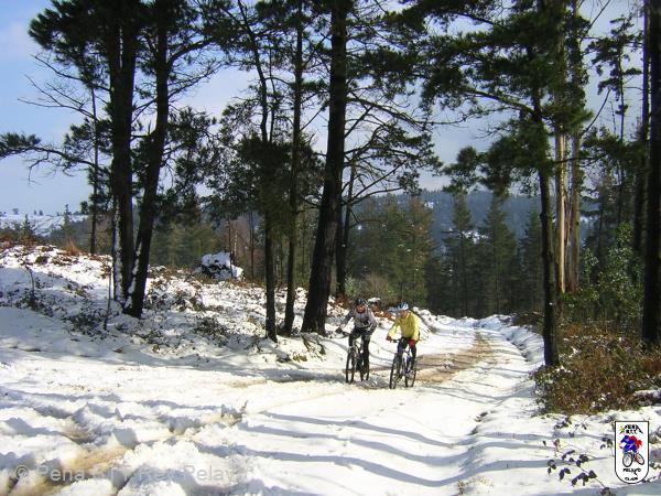 20050227122724-DSCN2519.JPG
