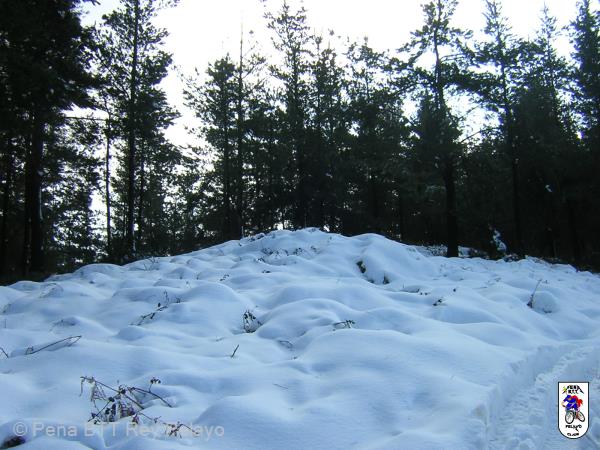20050227124622-DSCN2530.JPG