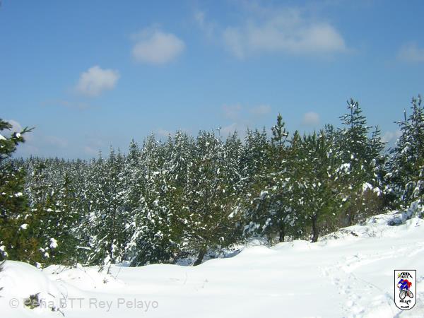 20050227132157-DSCN2557.JPG