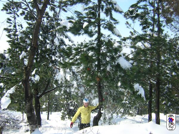 20050227133509-DSCN2564.JPG