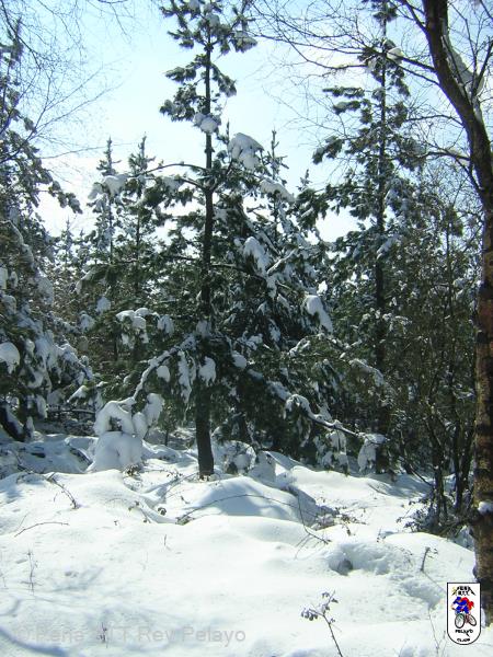 20050227133627-DSCN2565.JPG