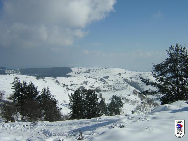 20050227134646-DSCN2570.JPG