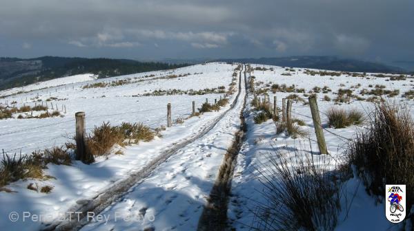 20090110133419_byPablo.jpg