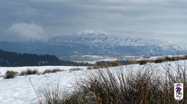 20090110133430_byPablo.jpg