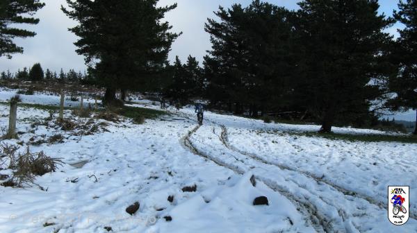 20090110133844_byPablo.jpg