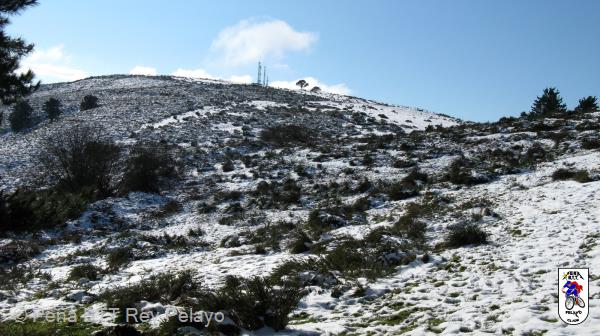 20090110134217_byPablo.jpg
