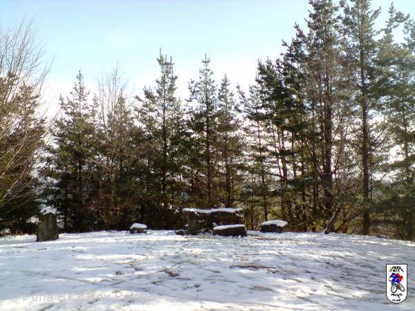 20090110135423_byIvan.JPG