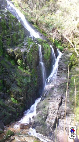 20100417120523_byBlueTomatea.jpg