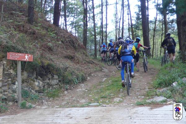 20100417150500_byBlueTomatea.jpg