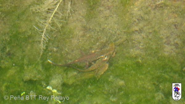 20100417154317juanjo.JPG
