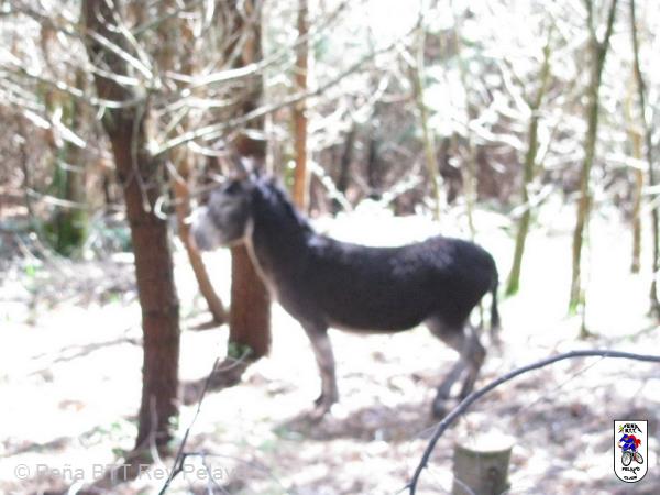 20100418110444juanjo.jpg