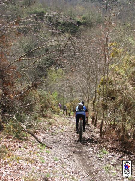 20100418115222juanjo.jpg