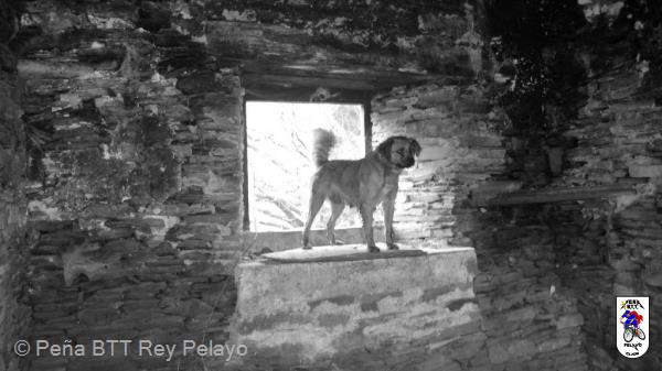 20100418130658juanjo.JPG